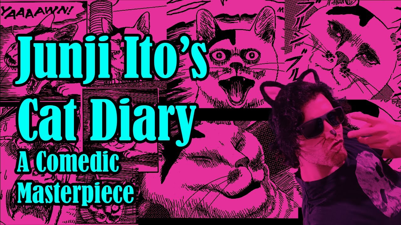 Junji Ito's Cat Diary Is A Comedic Masterpiece