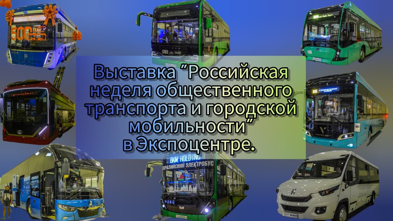 Выставка 