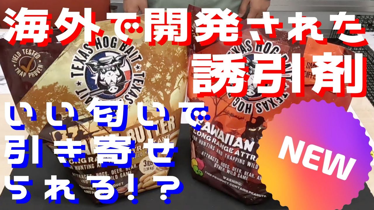 【狩猟用】これを使うとイノシシが寄ってくる！？【誘引剤】【粉末タイプ】