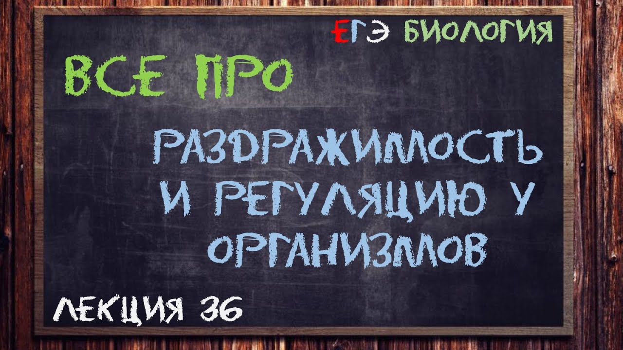 Л.38 | РАЗДРАЖИМОСТЬ И РЕГУЛЯЦИЯ У ОРГАНИЗМОВ | ОБЩАЯ БИОЛОГИЯ ЕГЭ
