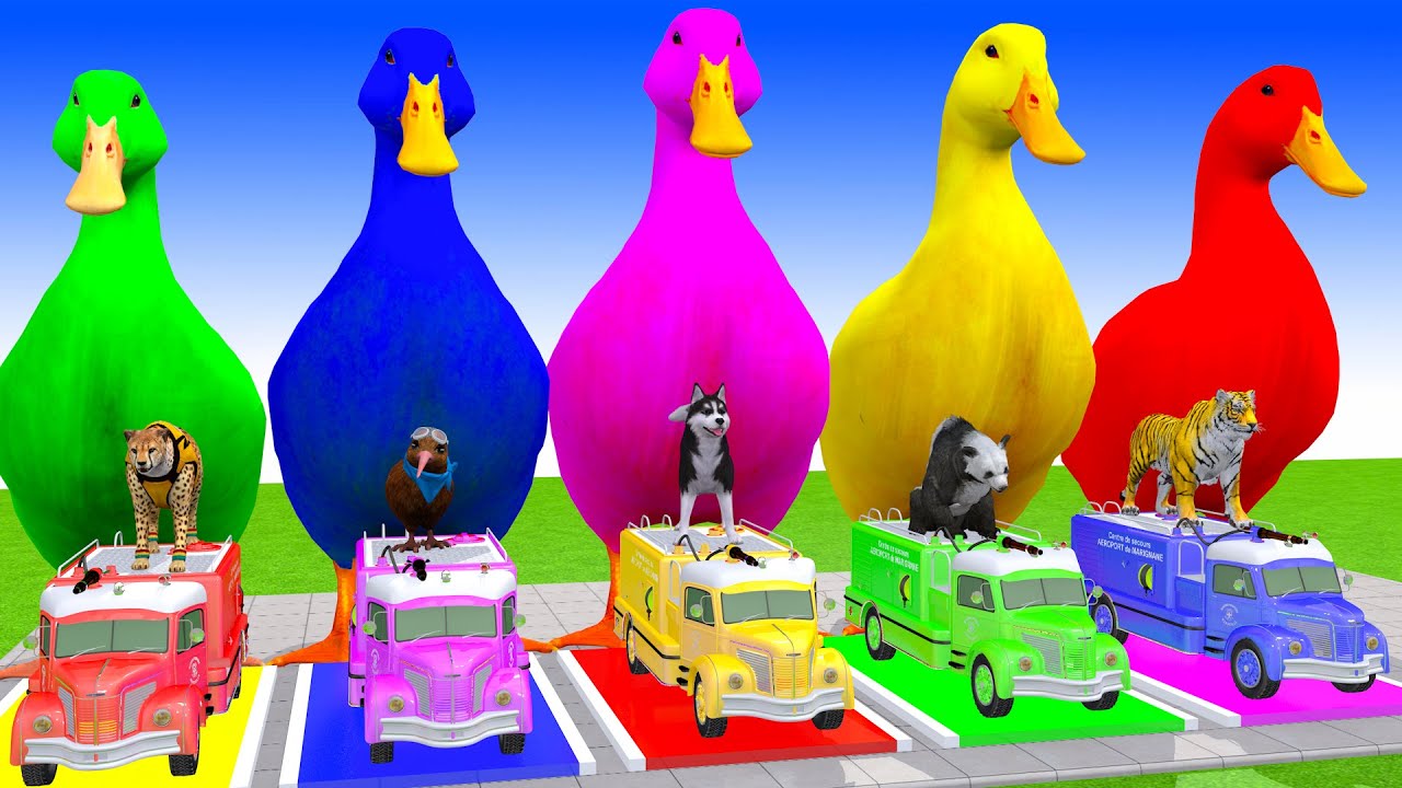 Long Slide Game With Cow Elephant Gorilla Hippopotamus Tiger - 3d Animal Game - Funny 3d Animals
