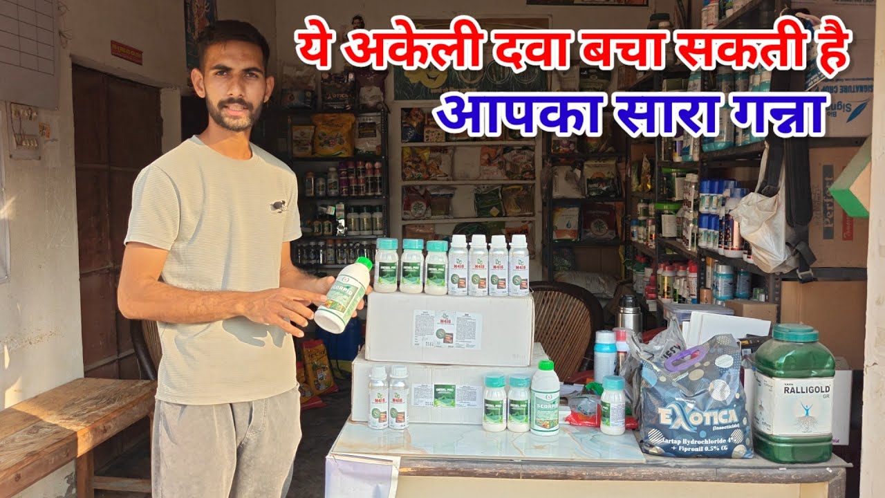 ये अकेली दवा ही बचा सकती है 0238 को। Sagasta diesal pro M 416 kaha milega। #manojrajput 