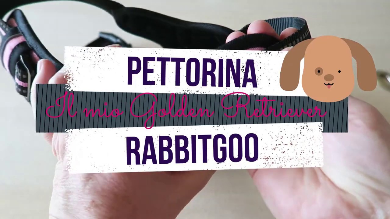 Pettorina anti tiro per cani che tirano Rabbitgoo no pull
