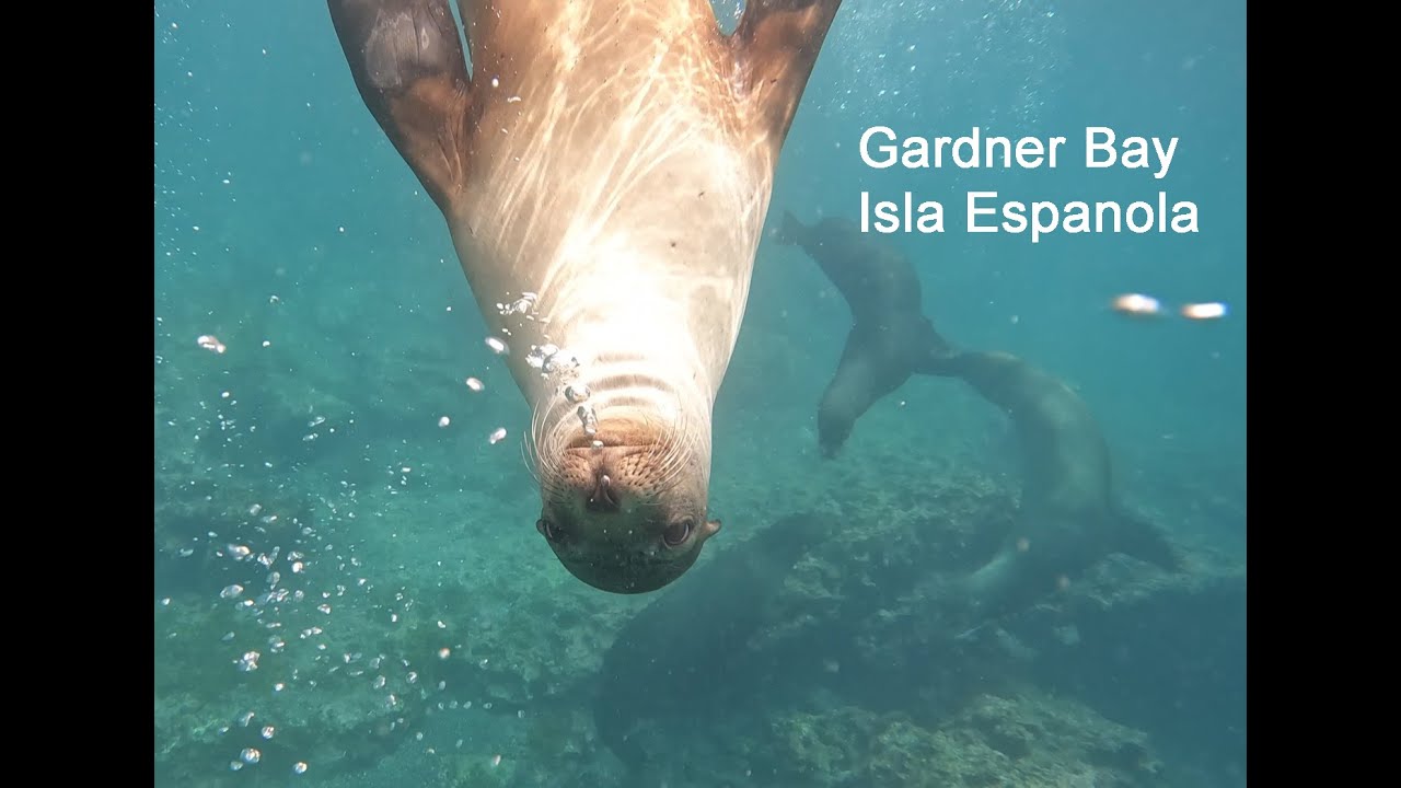 Gardner Bay