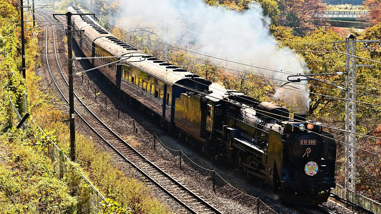 【D51 498】D51復活35周年水上号【旧型客車】2023年錦秋 4K60p JNR Class D51 JR East joetsu Line