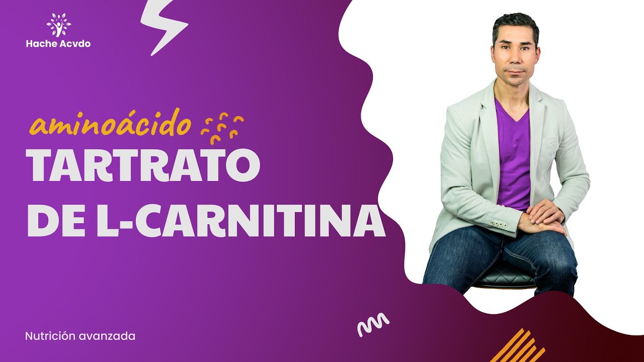 Tartatrato de Carnitina y Tu desarrollo muscular | Hache acvdo