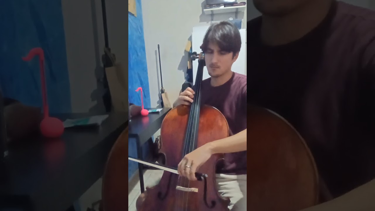N. Paganini Variations on a theme from 