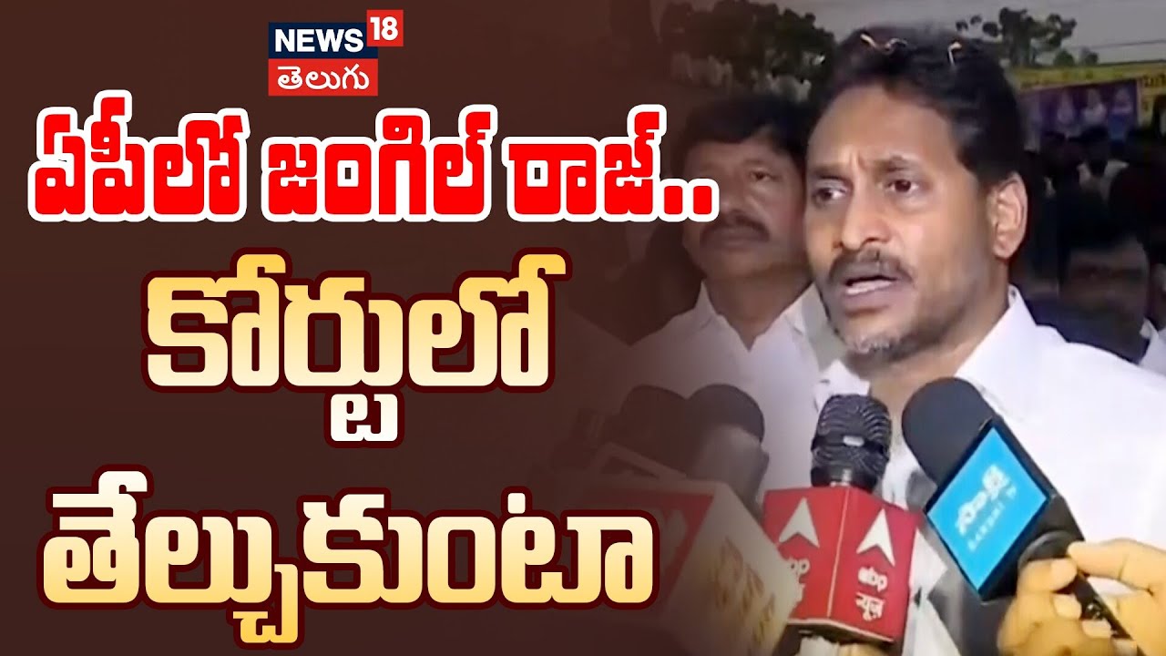 YS Jagan Mohan Reddy Slams CM Chandrababu Naidu | ఏపీలో జంగిల్ రాజ్.. కోర్టులో తేల్చుకుంటా | N18V