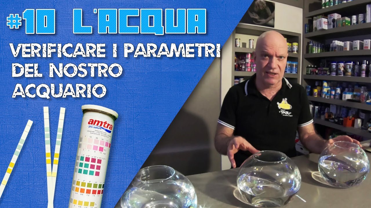 L'acqua: come verificare i parametri del nostro acquario!