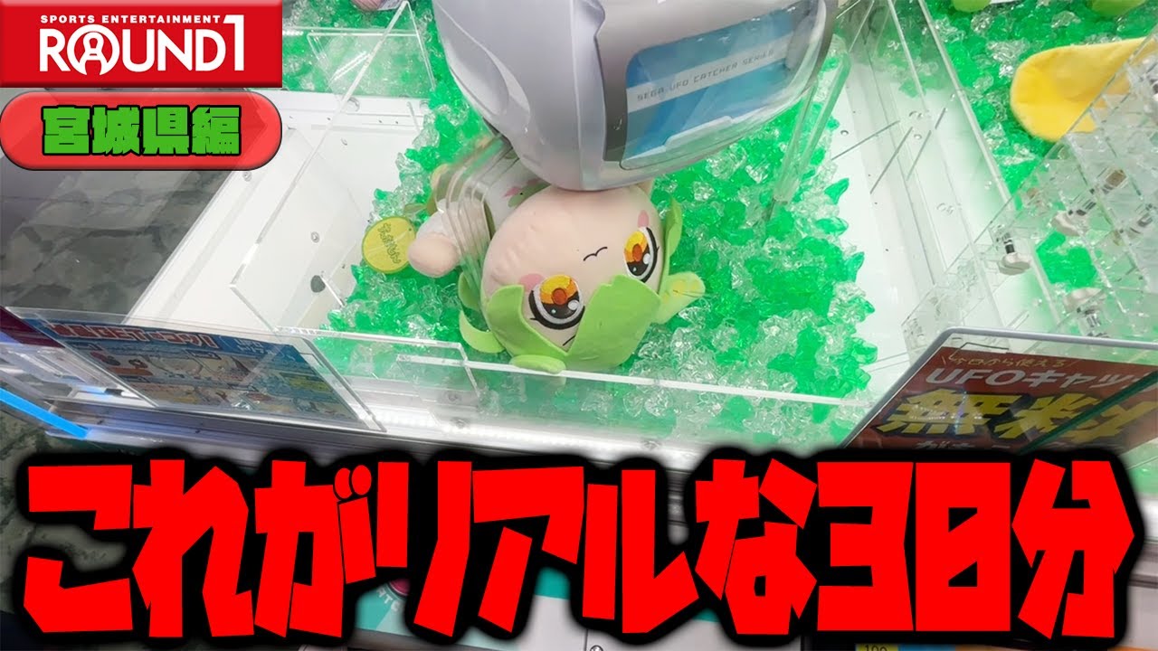 【クレーンゲーム】30分タイムアタック！！