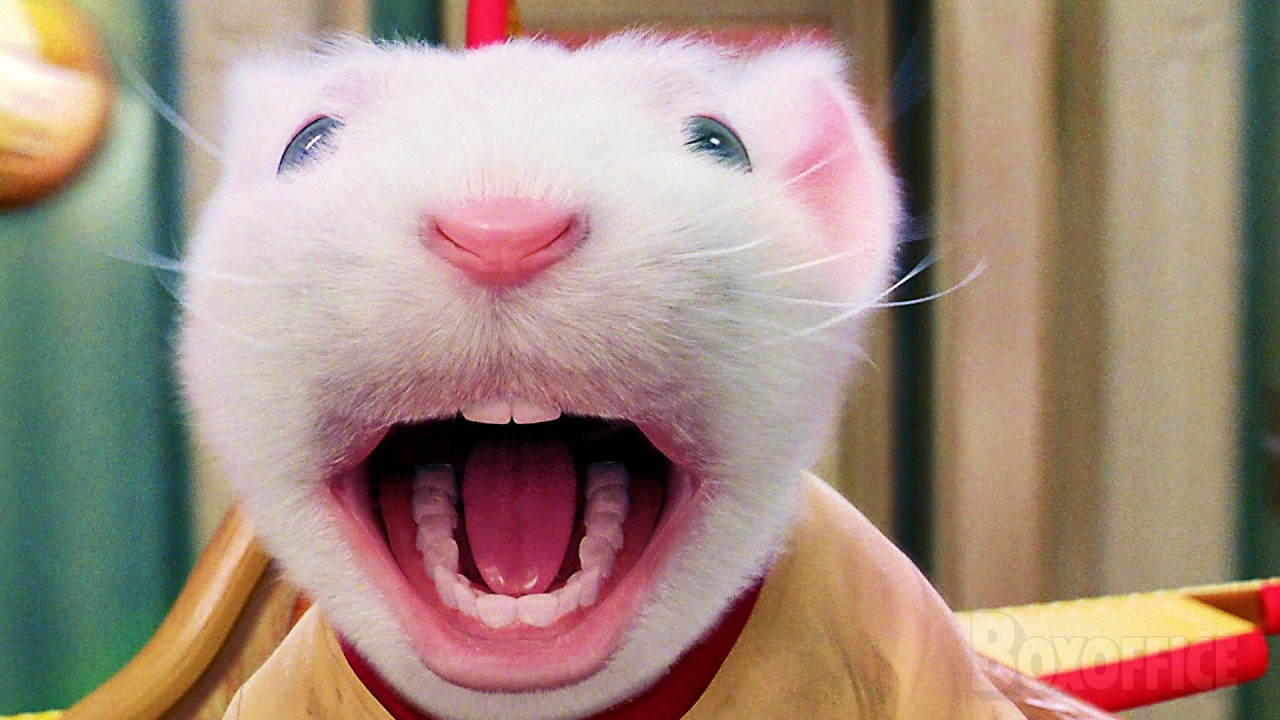 10 minutos de un lindo ratoncito haciendo cosas de humanos 🌀 4K
