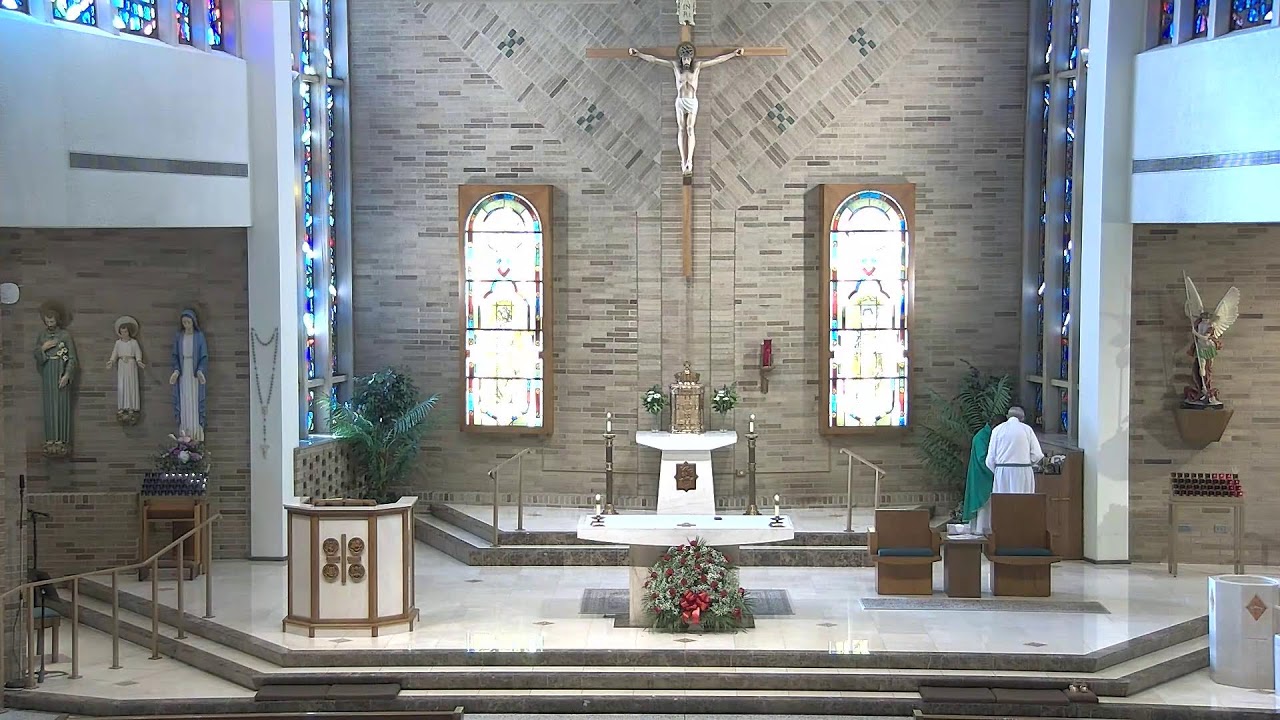 8:00am Sunday Mass, February 1, 2026