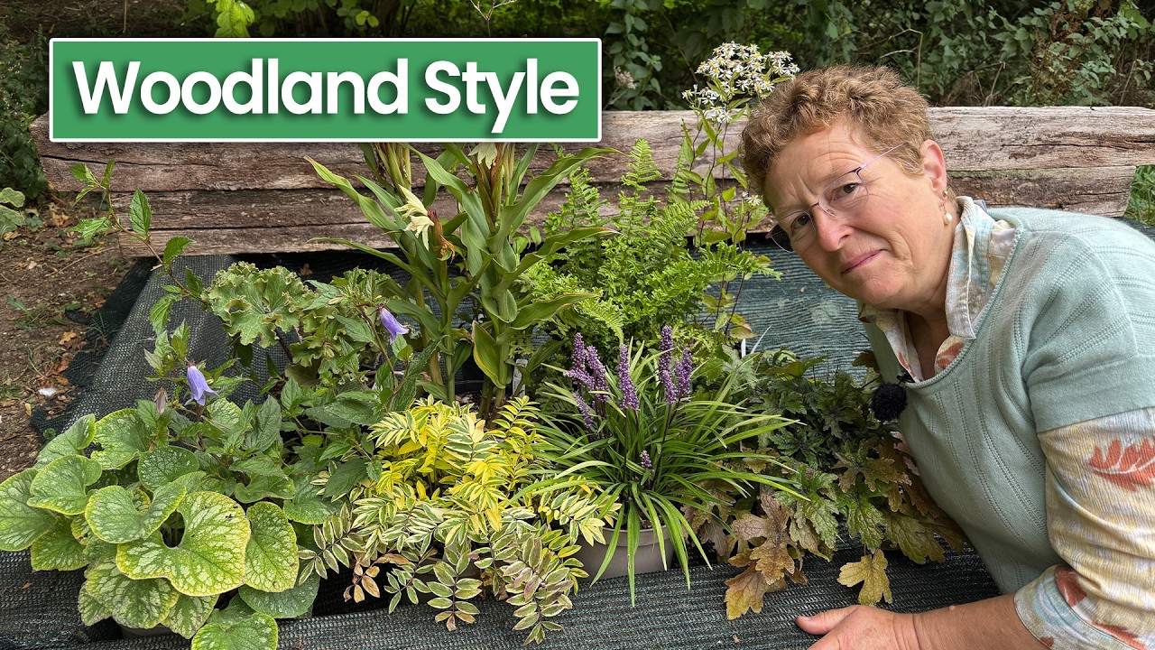 10 Shade Loving Perennials to Create a Woodland Garden Effect