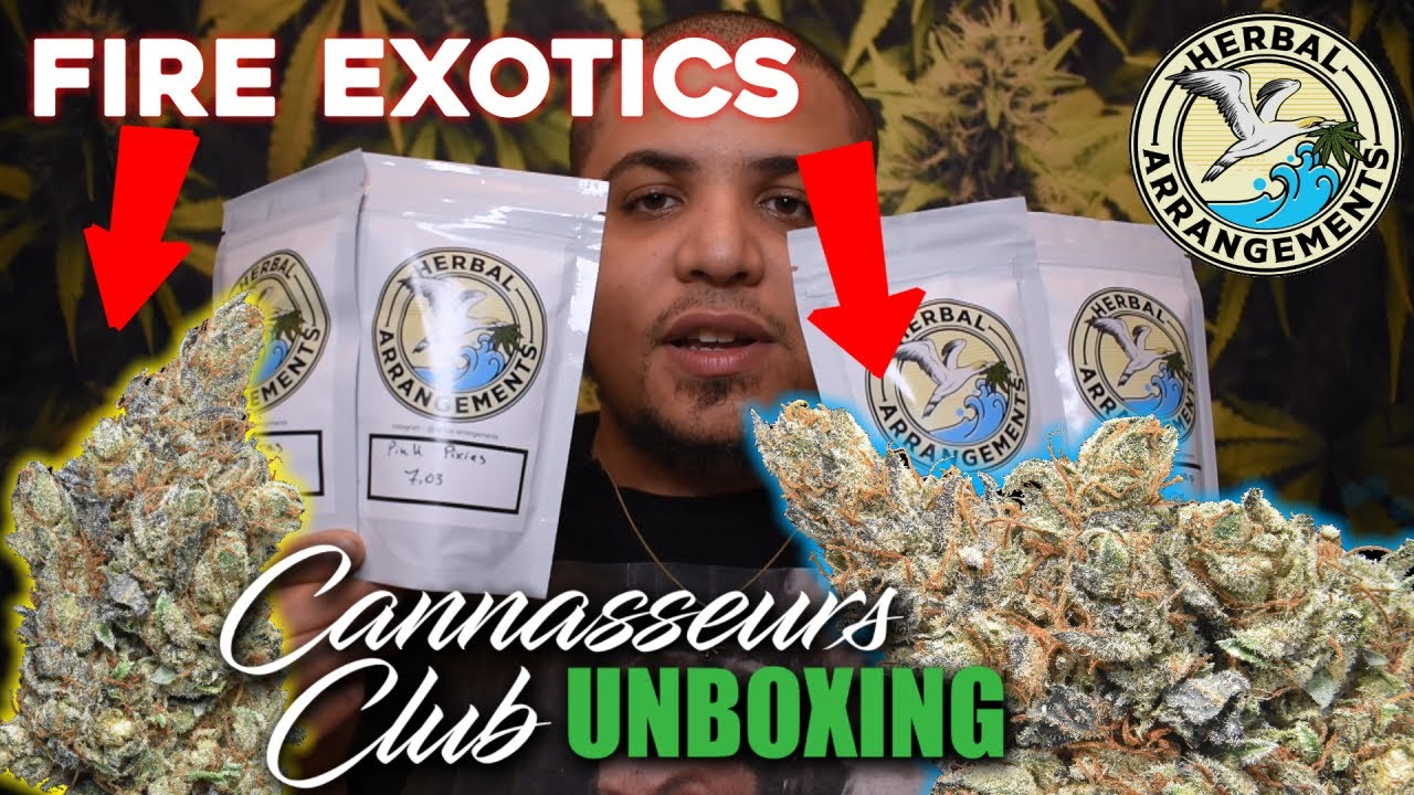 Cannasseur Club Subscription Box + FIRE NEW STRAINS | Herbal Arrangements | CBD Hemp Flower Review