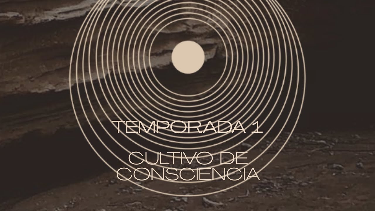 Ep 3 -La Luz y La Sombra de Todo