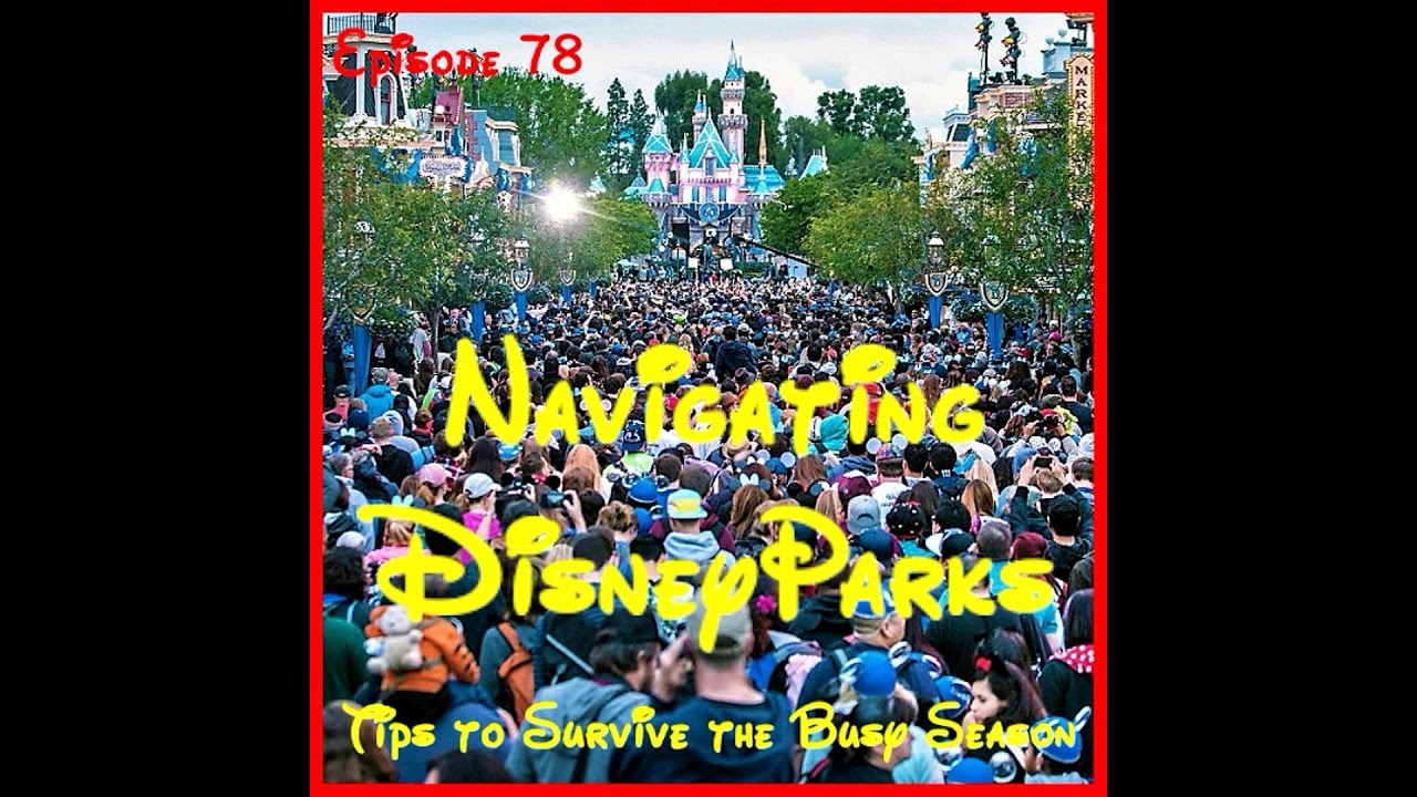 Navigating Disney Parks - Tips to Survive the Busy Season