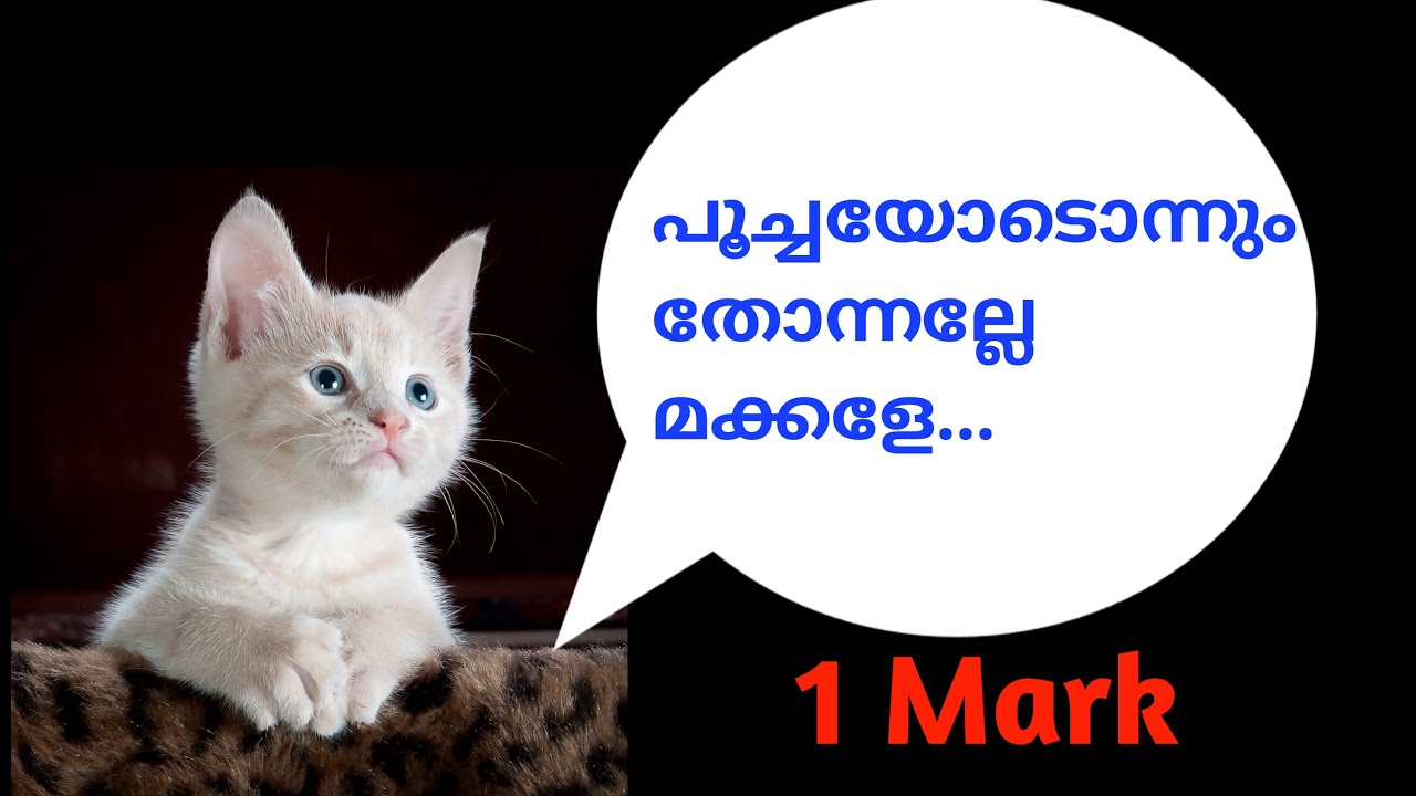 Thorndike || cat experiment|| trial and error theory||