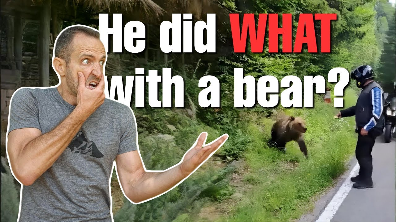 He Didn’t Survive This Bear Encounter - THESE 3 Steps Could've Saved Him