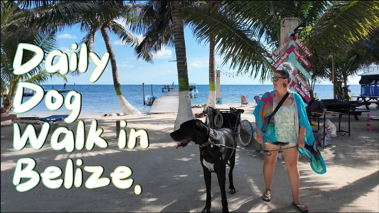 Morning Dog Walk on Caye Caulker, Belize 🐶
