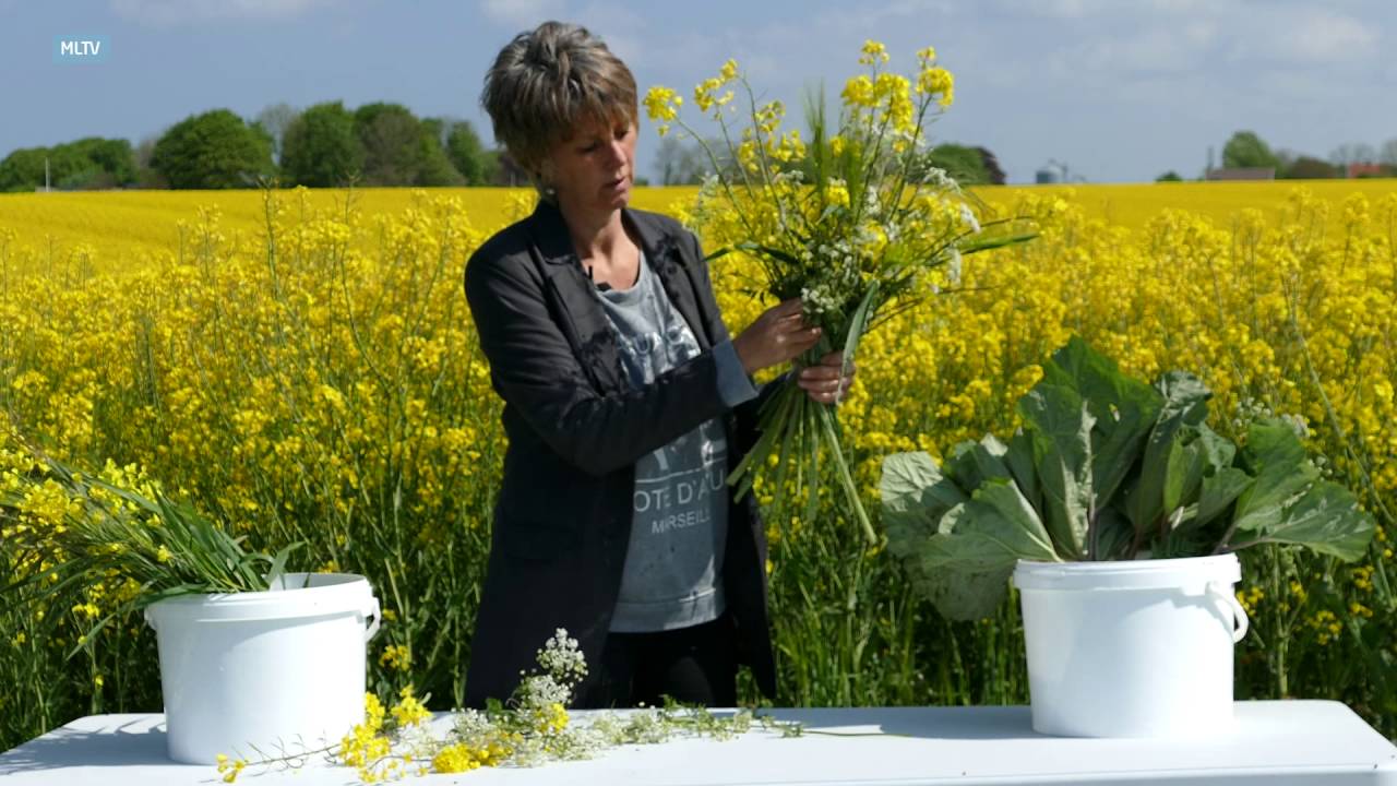 Blomster fra natur til Uniqa