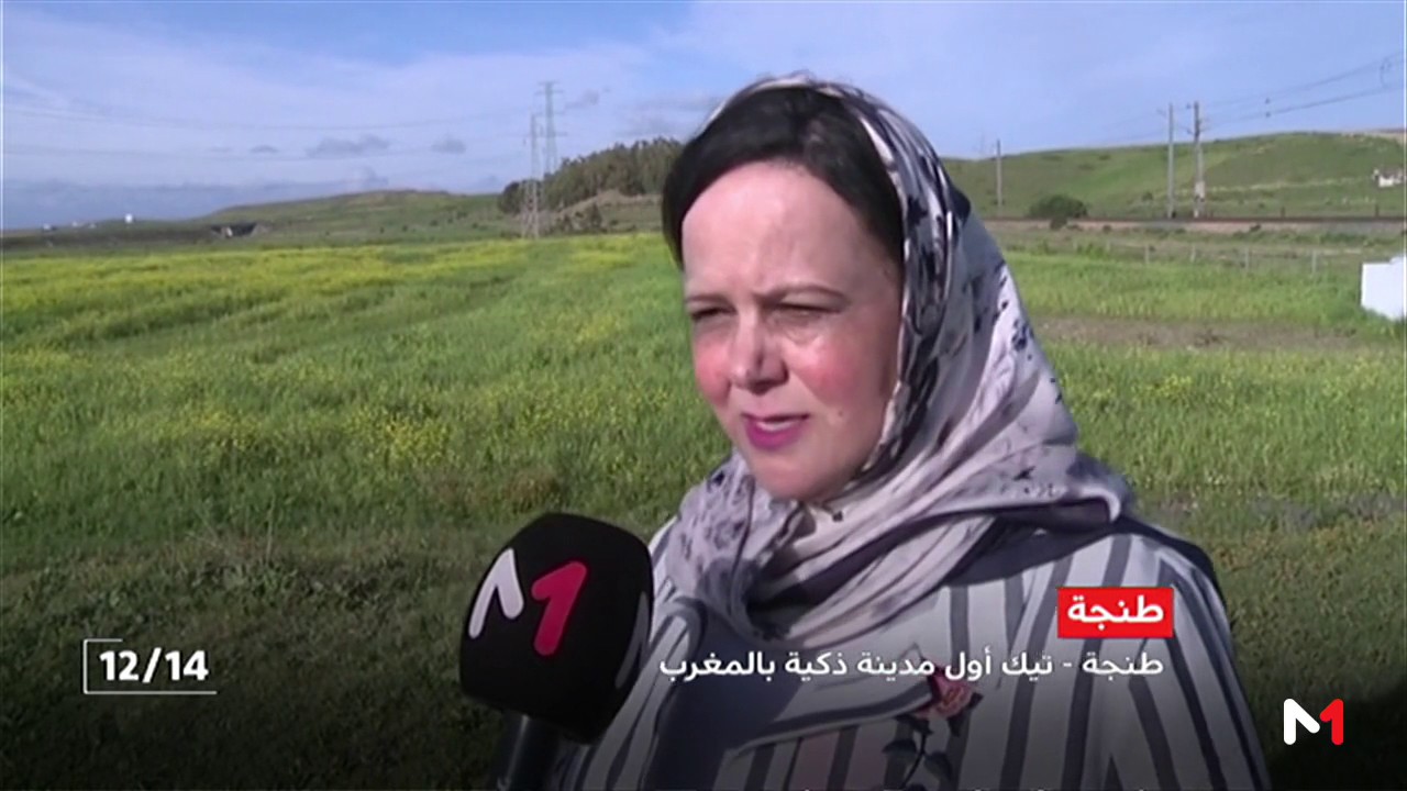 مشروع 