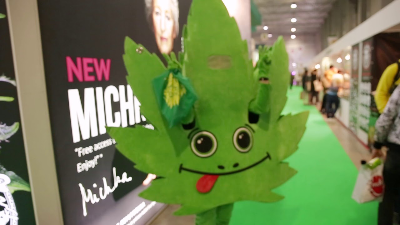 CannaFest Prague product Recap (2018)