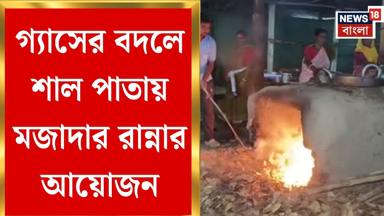 LPG Price Hike |  ১৩ লক্ষ টাকার ঝরা পাতায় চলছে বিলাসবহুল রিসর্টের উনুন। Bangla News