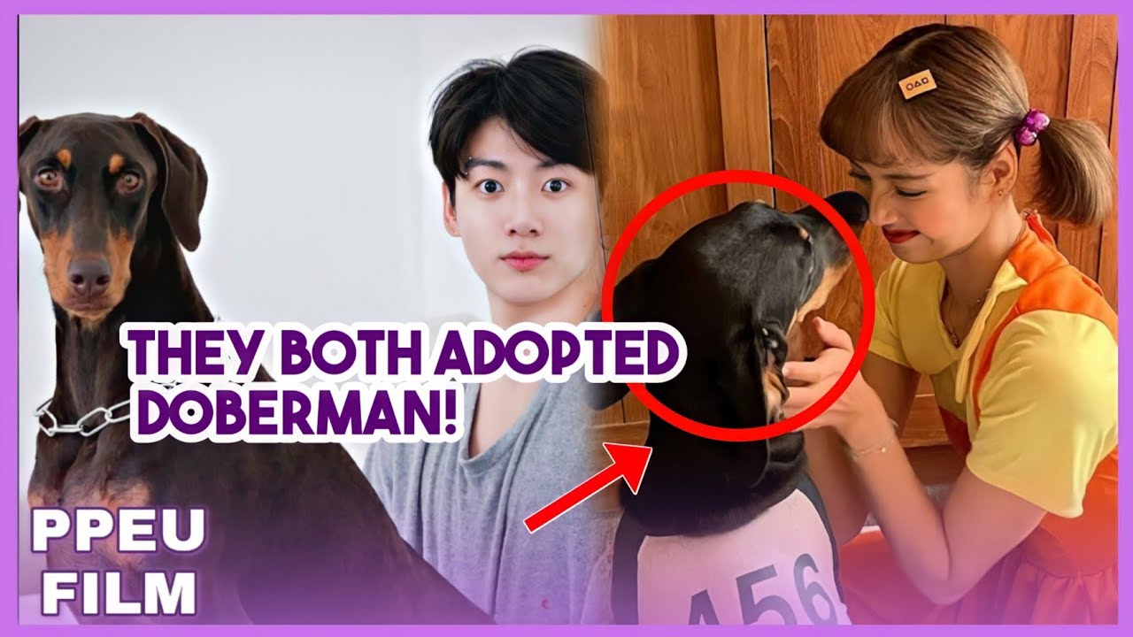 🐕 both lisa and jk adopted a dobermans! and more updates from them 💛 | THE THEORY #8