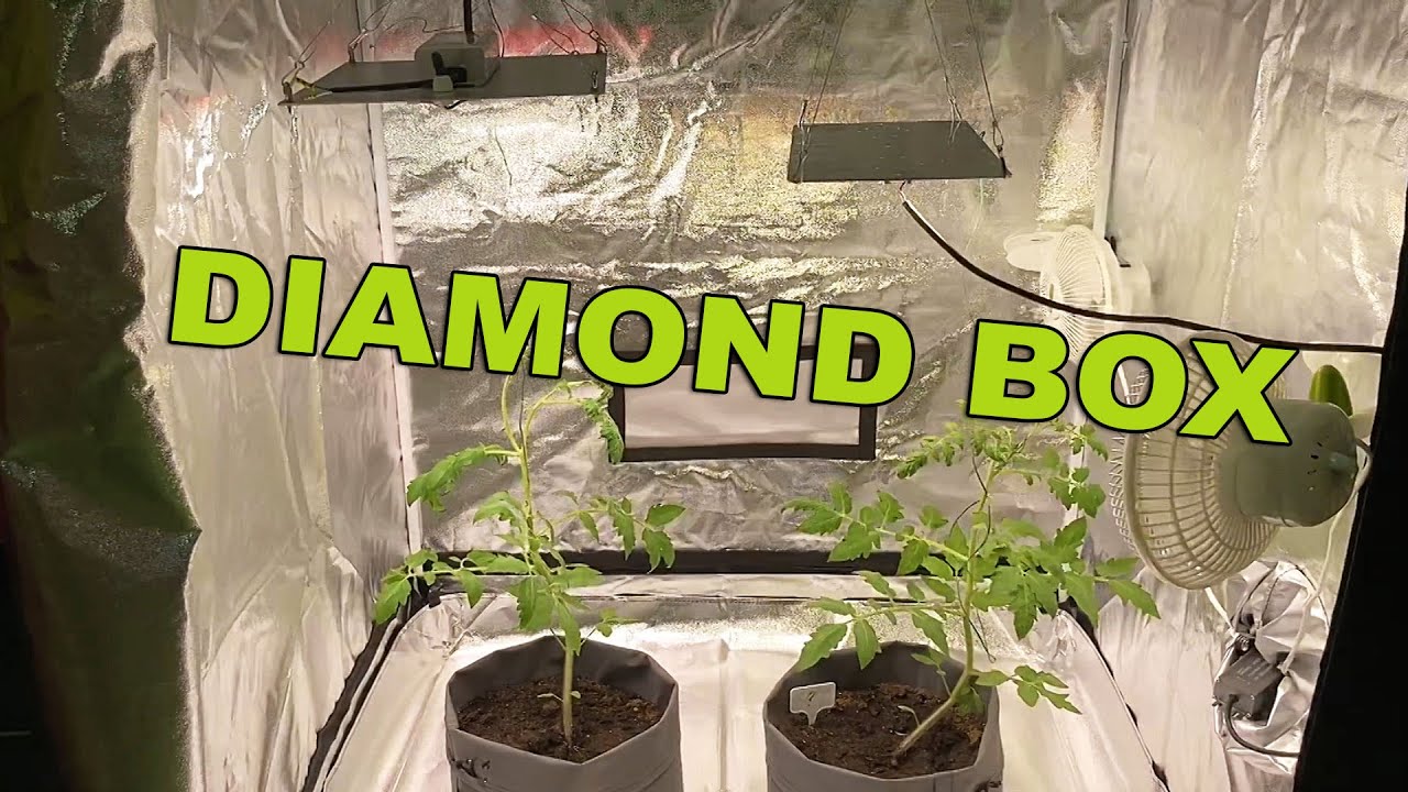#27 Обзор гроутента Diamond Box 100x100x200 от HomeBox / Mr.GrowChannel