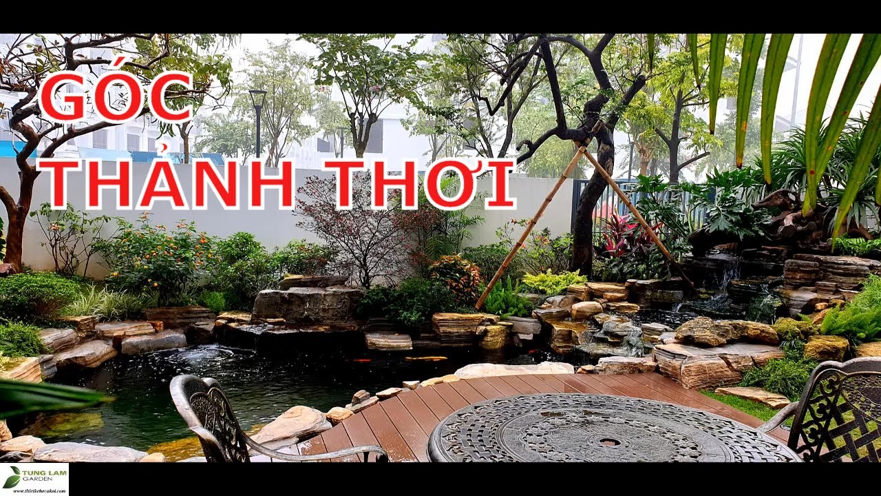 ✅KOI.130-Hồ cá Koi sân vườn biệt thự Gamuda Garden đẹp mờ ảo trong sương/Hồ cá Koi TungLam Garden