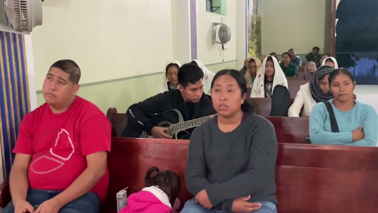 HERMOSOS CANTOS A LA VIRGEN DE NATIVIDAD DE MARIA 2023