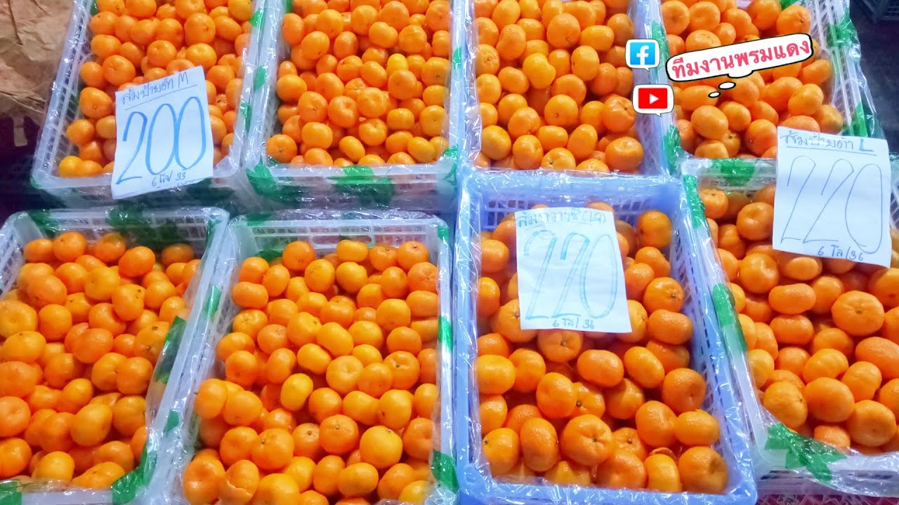 วิธีทำให้ส้มจีนเก็บได้นานขึ้น สำหรับพ่อค้าแม่ค้า