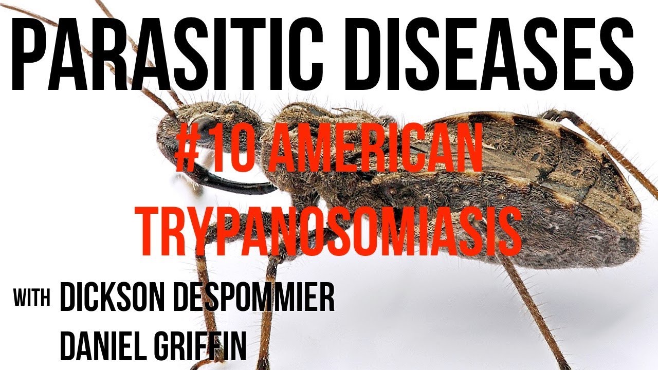 Parasitic Diseases Lectures #10: American Trypanosomiasis