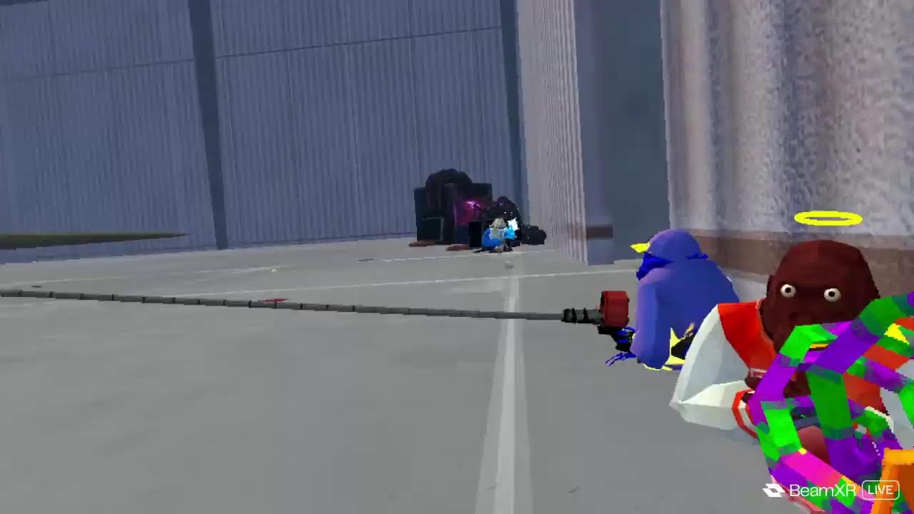 animal company code:cashvr194