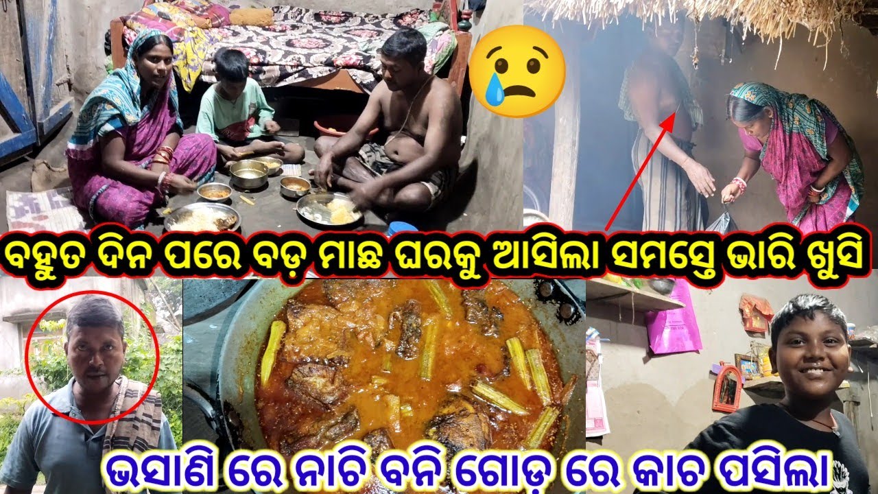 ବହୁତ ଦିନ ପରେ ଏତେ ବଡ ମାଛ ଆସିଲା//subhadra odia vlog//odia vlog 