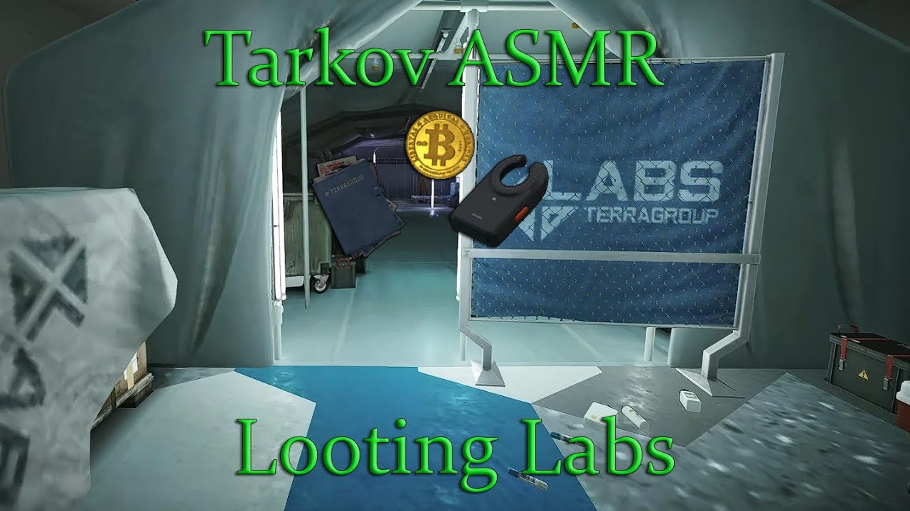 Tarkov ASMR (PVE Looting Labs)