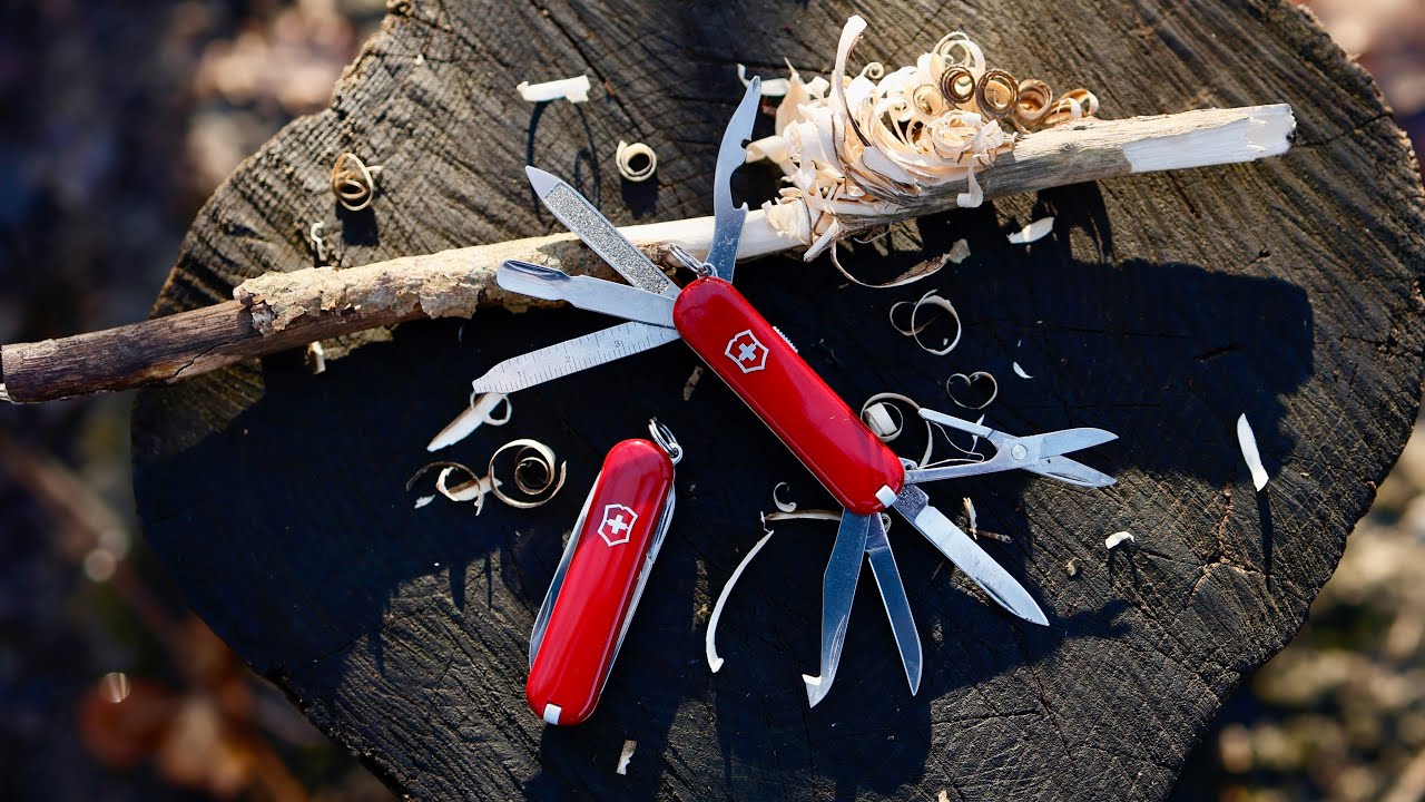 Vajon az erdőben is megállja a helyét? | Victorinox CLASSIC Mini széria
