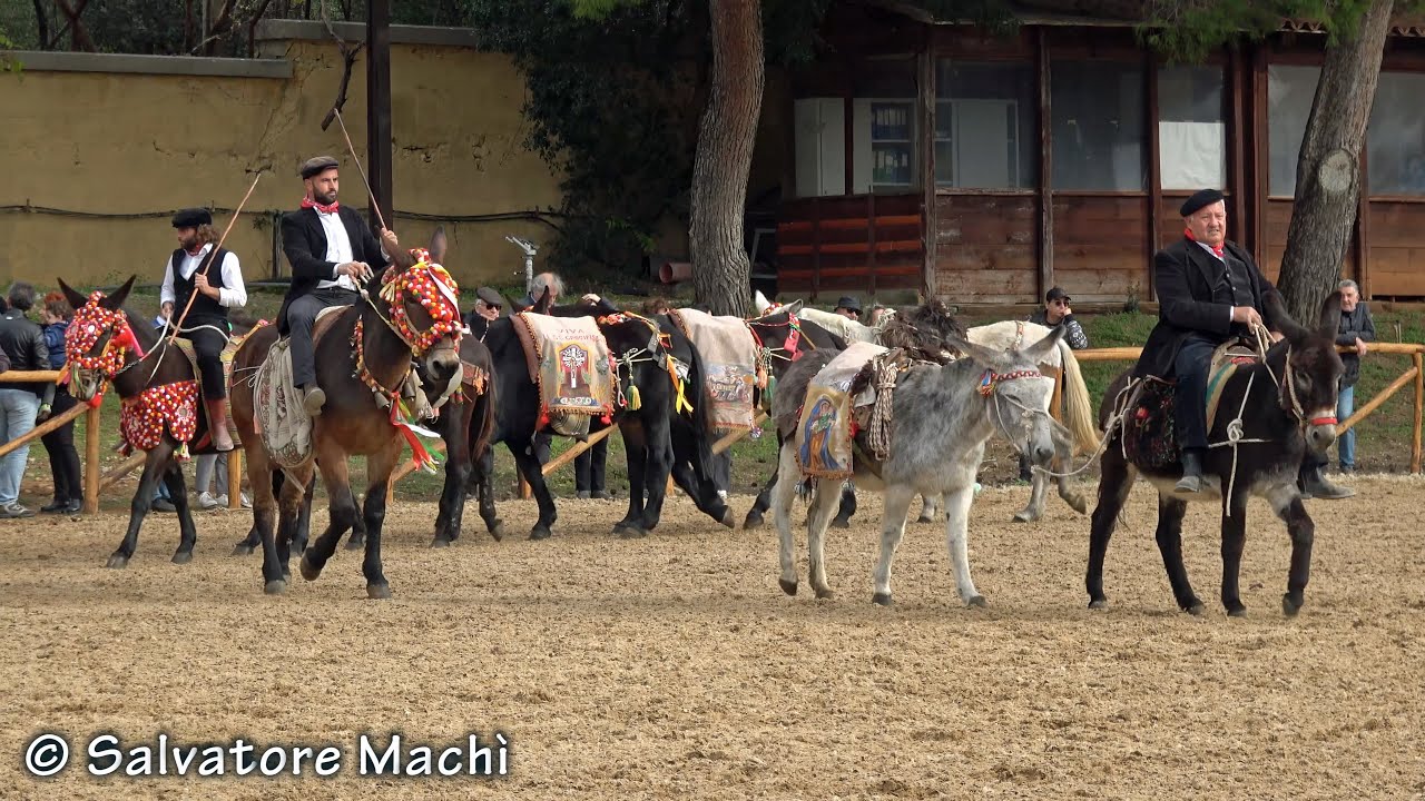 Palermo - Spettacolo equestre 2023