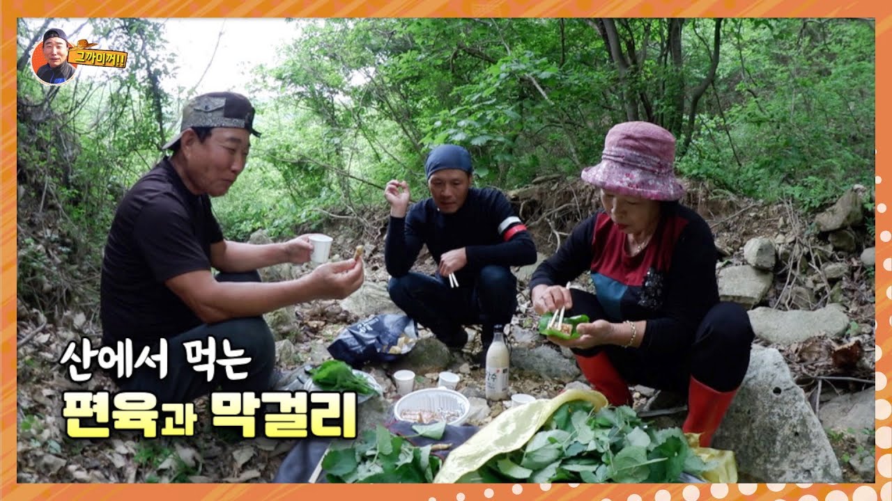 산에서 돼지머리편육에 막걸리 한 잔 해유~(ft. 더덕 캐기의 달인 나루강 누님)