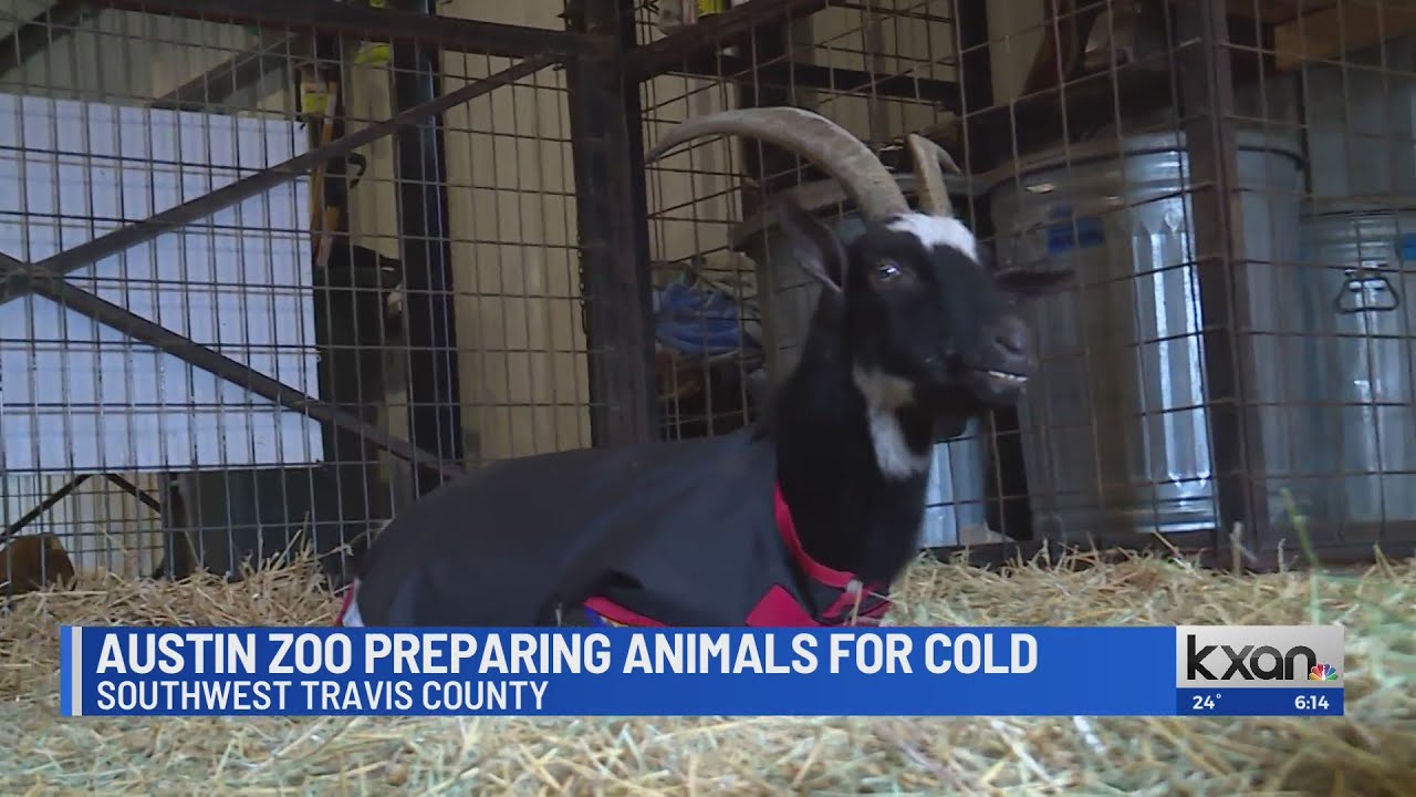 Austin Zoo protects animals from dangerous cold