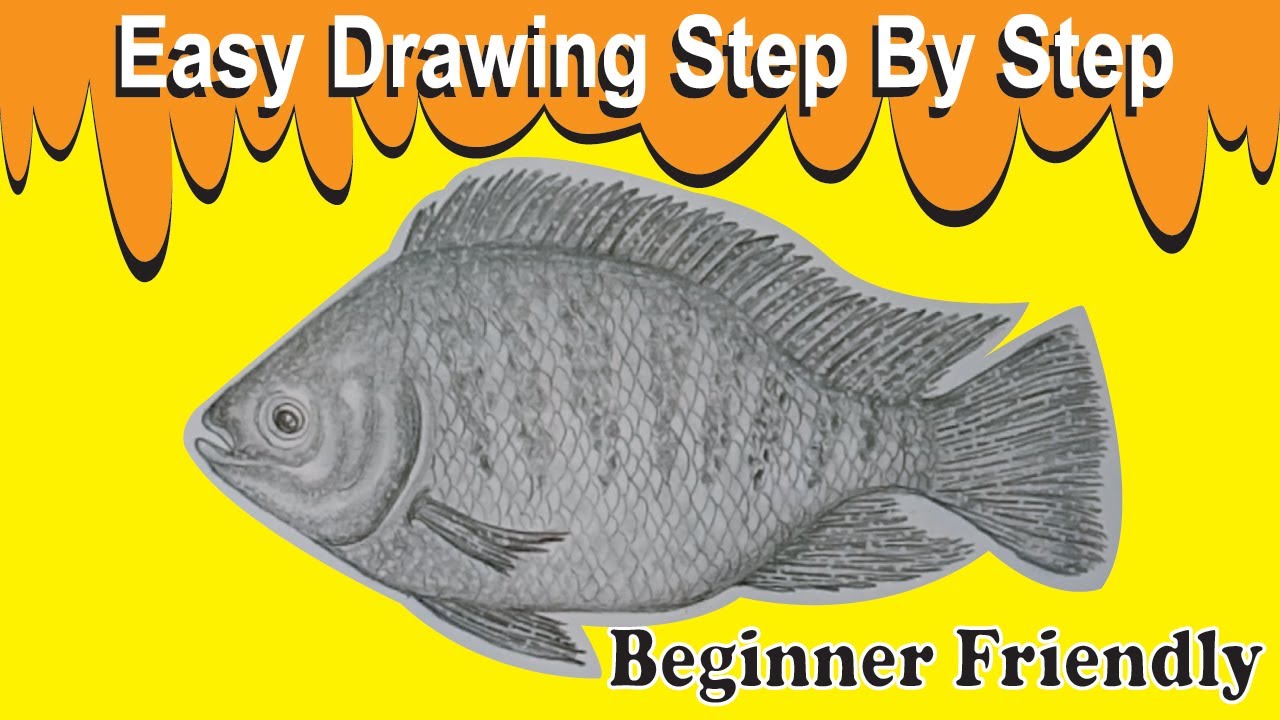 How to Draw a Tilapia Fish | Easy Drawing for Beginners | Step by Step Pencil Sketch