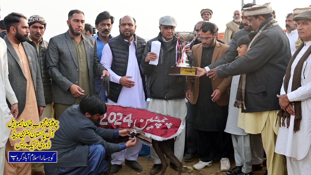 Dog Race | Dori Track Race | Final | Kallar Syedan Rawalpindi | 28-01-24 #dog #pets #greyhound