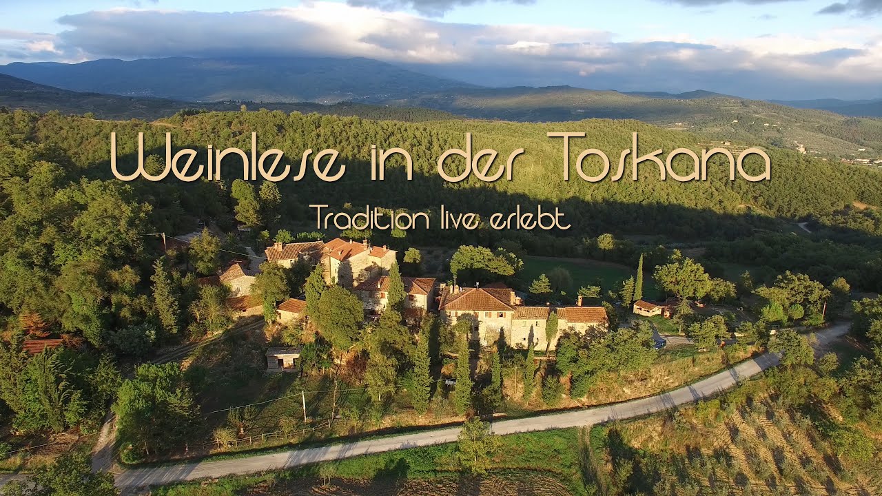 Weinlese in der Toskana - 4K