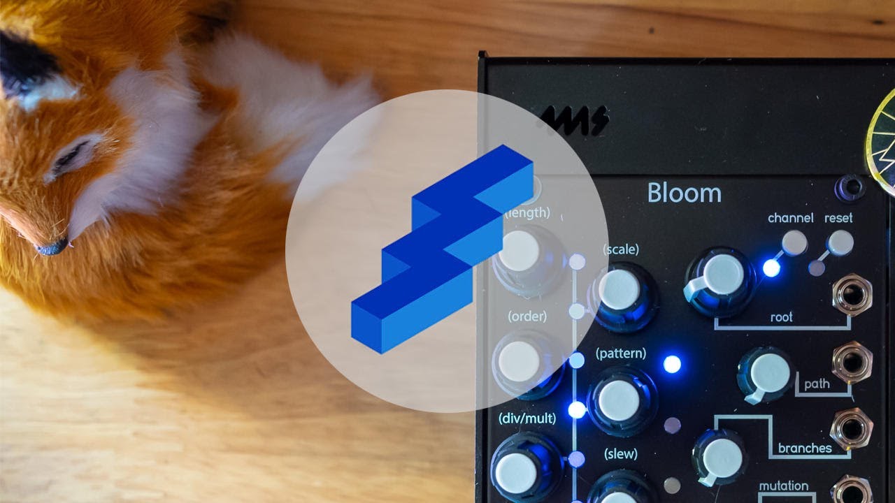 4 Performances with Qu-Bit Bloom