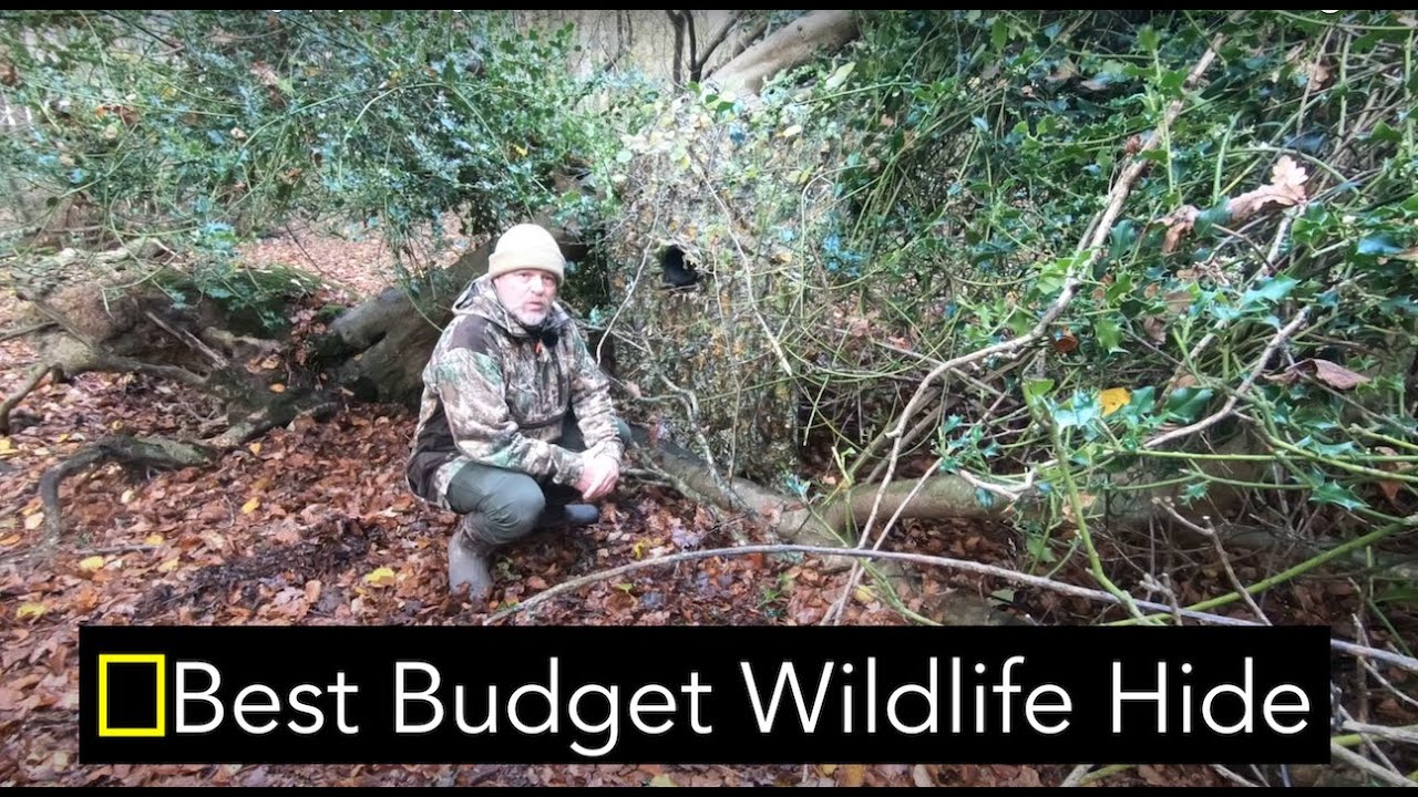 Wildlife Photography On A Budget | Best Budget Hide, & Lightest
