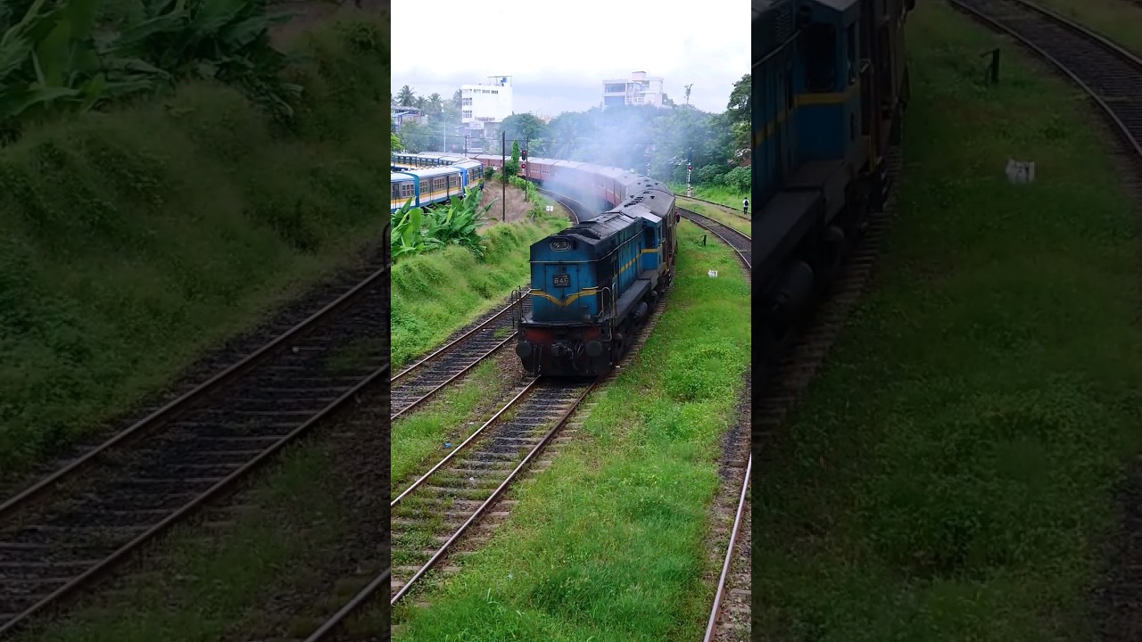 #wdm2 diesel locomotive in #srilanka 🇱🇰 | #macs48 #indianlocomotives #alcolocomotive #alco #class_m8