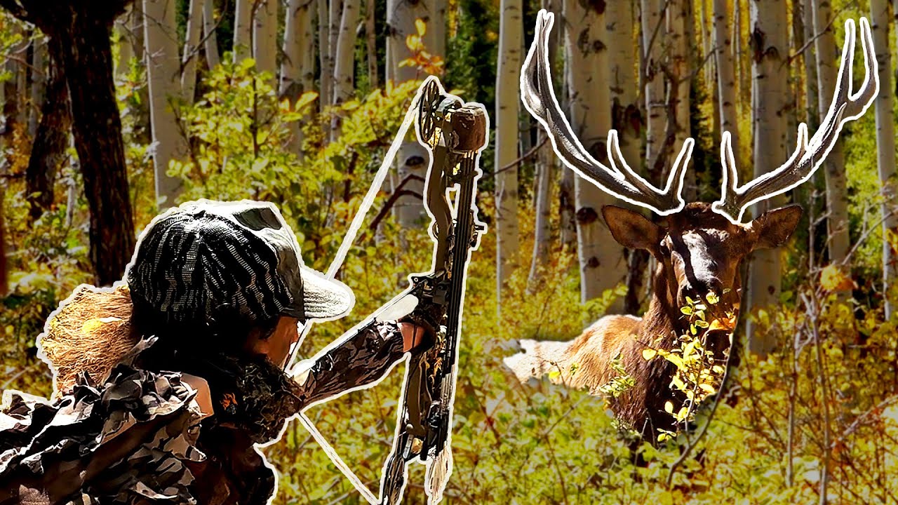 10 YARD SHOT at the HERD BULL! (Public Land Elk Hunting)