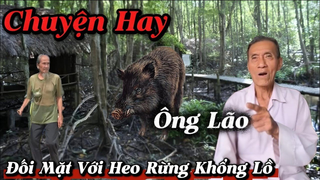 Chuyện Hay Ông Lão Đối Mặt Với Heo Rừng Khổng Lồ...