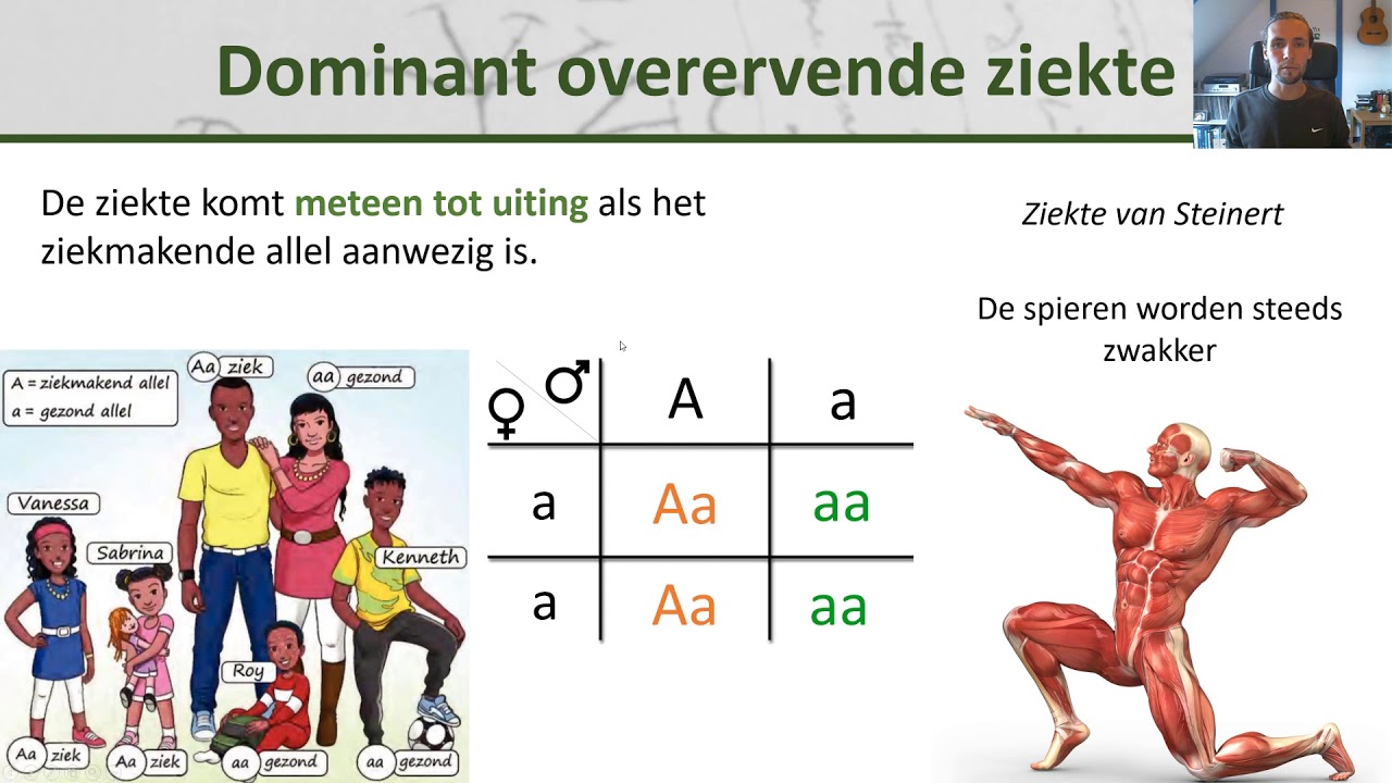 Bio - Erfelijke aandoeningen en geslachtsgebonden overerving - Erfelijkheid #4