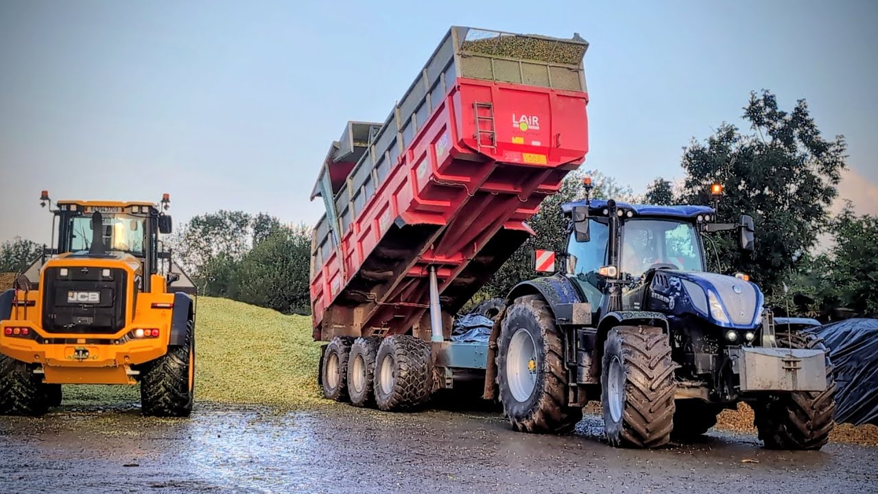 Ensilage de maïs 2025 en Normandie 🇫🇷